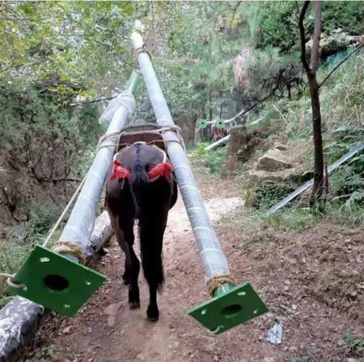 荆门骡马运输队