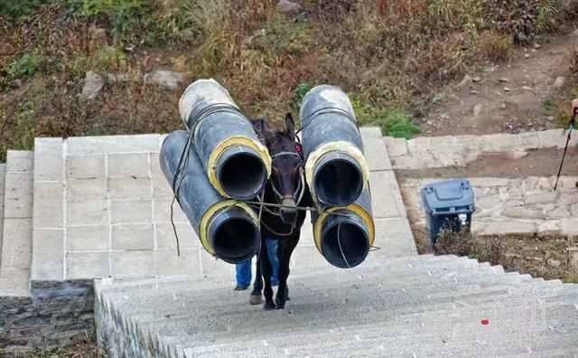 荆门马帮运输